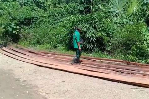 Illegal Logging Marak Di Taman Nasional Tanjung Peropa