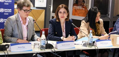 Armenian EyeCare Project AECP Participates in Policy Dialogue on