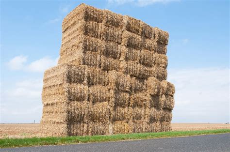 The Ultimate Guide To Straw Bale Dimensions And Why They Matter