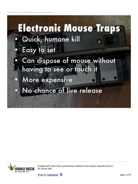 The different types of mouse traps explained