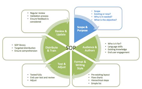 A Complete Guide To The SOP Lifecycle Scope And Purpose