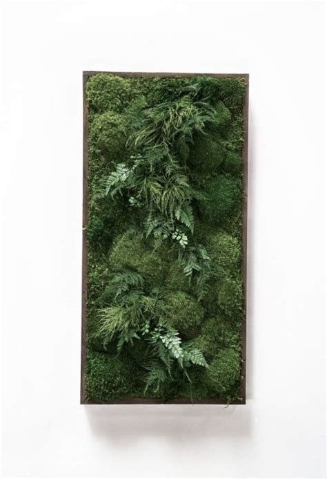 Pin By Ghispint On A Green Leaves Moss Wall Art Framed Plants Green