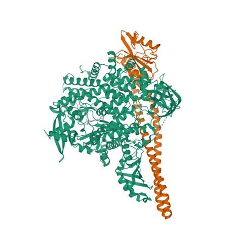 Rcsb Pdb Ukj The Co Structure Of N N Dimethyl R Methyl