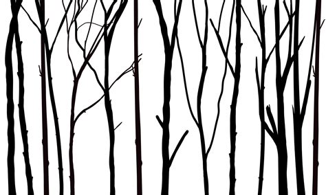 Black Branch Tree Or Naked Trees Silhouettes Hand Drawn Isolated Illustrations 45099924 Vector