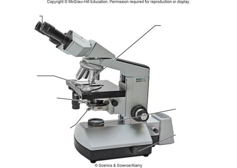 Lab Practical 1 Microscope Diagram Quizlet