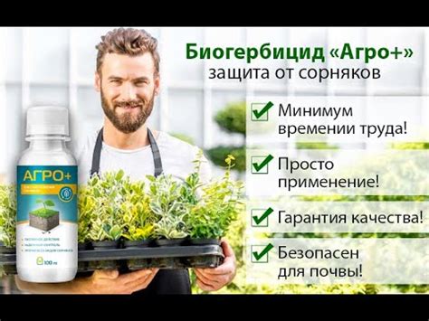 ⛔ ГЕРБИЦИДЫ ОТ СОРНЯКОВ ДЛЯ КЛУБНИКИ ИЗБИРАТЕЛЬНОГО ДЕЙСТВИЯ 😎 ЧЕМ ...