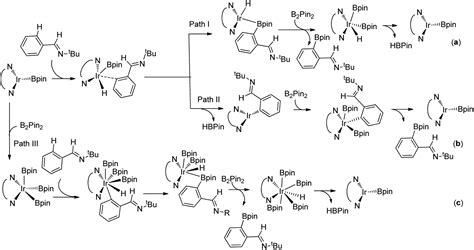 Mechanistic Study Of The Ligand Controlled Regioselectivity In Iridium