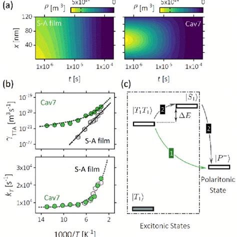 PDF Direct Transition From Triplet Excitons To Hybrid LightMatter