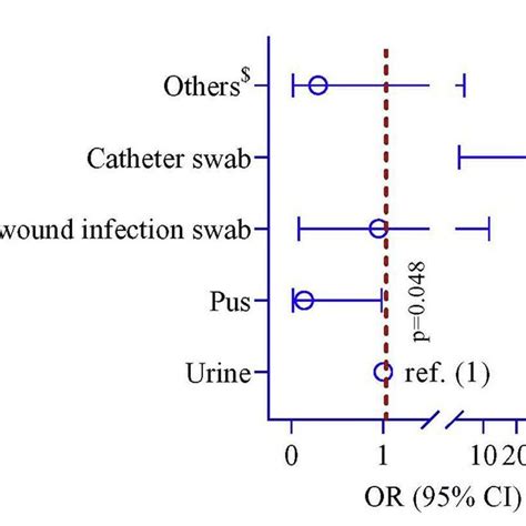 Schematic Diagram Showing The Structure Of The Pseudomonas Aeruginosa