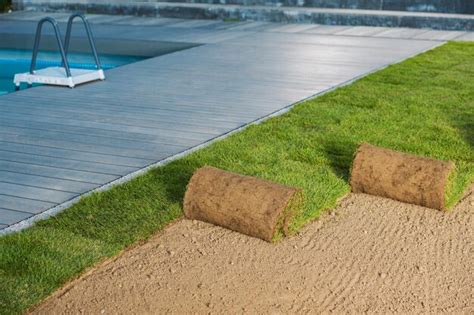 Premium Photo | Grass Turf Rolls for Instant Backyard Lawn