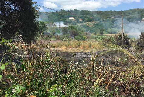 Lamezia In Fiamme Sterpaglie Tra Via Del Progresso E Via Indipendenza