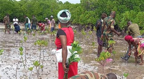 Kenyan Holiday Devoted To Planting 100 Million Trees