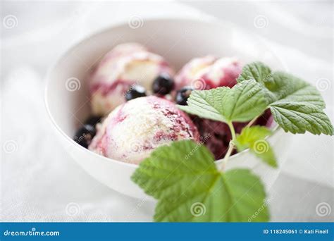 Blackcurrant ice cream stock image. Image of blackcurrant - 118245061