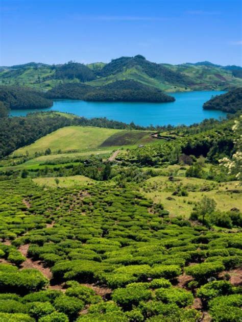 Visit Top Tourist Spots In Ooty 'The Queen Of Hill Stations' - People ...