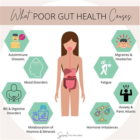 Poor Gut Health Causes & Effects | Sprout Into Wellness | Gut health ...