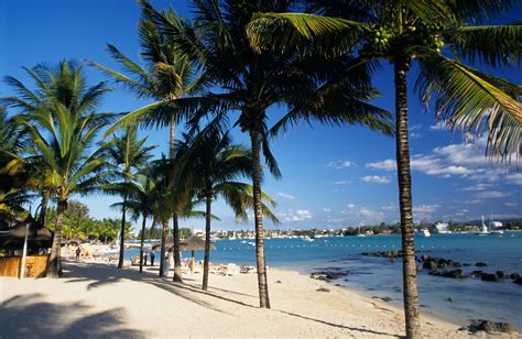 Agences de voyage et Covid suspension des départs vers l île Maurice