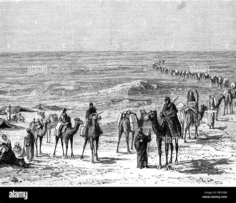 Trade Transportation Of Goods Caravan In The North African Desert