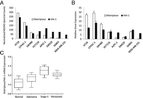 Quantification and analysis of matriptase/HAI-1 protein and gene... | Download Scientific Diagram