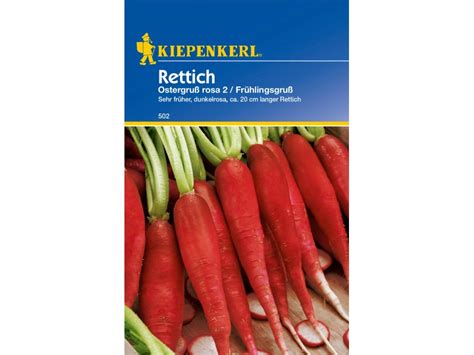 Kiepenkerl Rettich Ostergruß rosa 2 Frühlingsgruß kaufen bei OBI