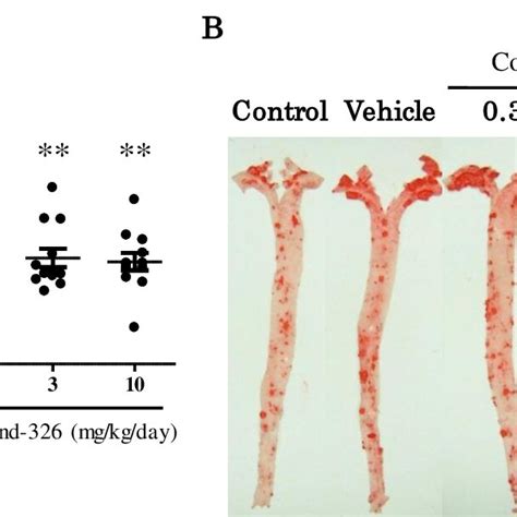 Effects of compound-326 on body weight changes in ApoE knockout mice ...