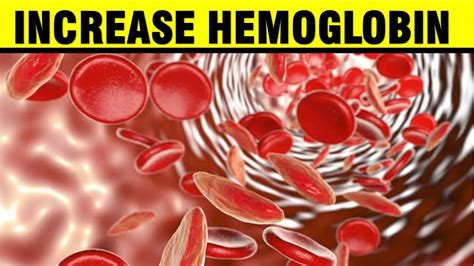 Top 6 Foods That Increase Hemoglobin Levels Naturally Epic Natural Health