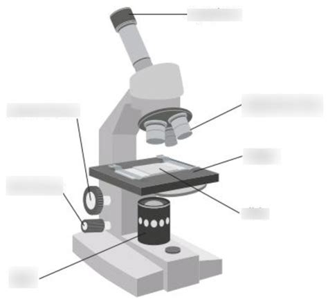 Microscope Diagram Diagram Quizlet