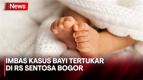 Buntut Dugaan Bayi Tertukar Perawat Rs Sentosa Bogor Dinonaktifkan