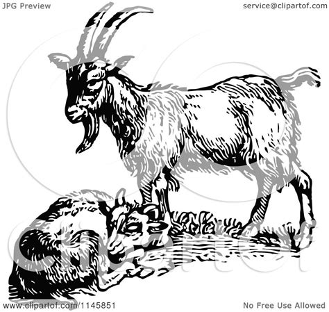 Clipart Of Retro Vintage Black And White Standing And Resting Goats