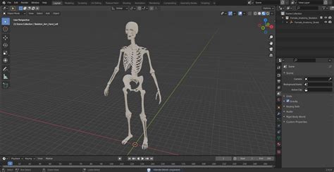 Female Anatomy Skeleton 3D Model $149 - .3ds .blend .c4d .fbx .max .ma ...