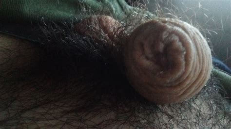 New Pics My Cock Ass Pics XHamster