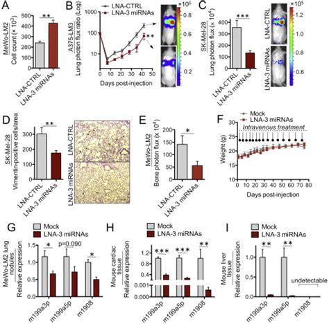 Convergent Multi MiRNA Targeting Of ApoE Drives LRP1 LRP8 Dependent