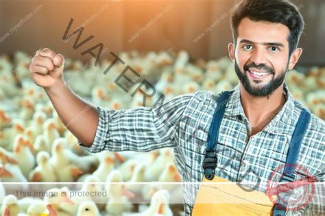 [Beginner’s Guide] How To Start Duck Farm In UAE - Agrolearner.com