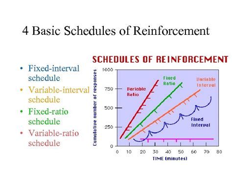 Reinforcement Schedules 1 Continuous Reinforcement Reinforces the desired