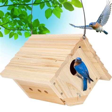 Best Carolina Wren Bird Houses For Your Garden Hummingbirds Plus