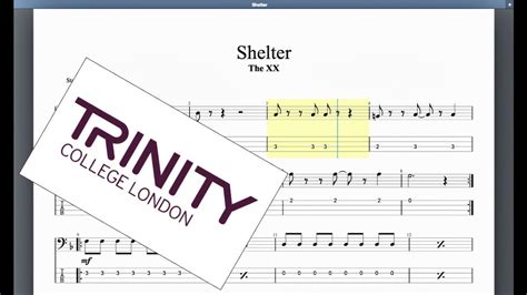 Shelter Trinity Initial Grade Bass Youtube