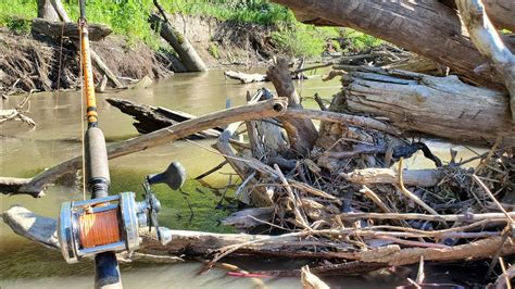 Fishing Giant Brush Piles For Monster Fish Youtube