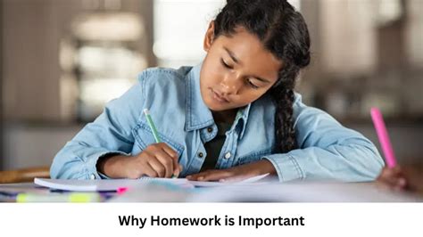 Why Homework Is Important Boosting Learning And Discipline