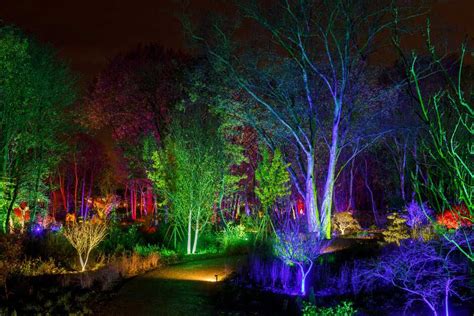 RHS Bridgewater Glow | Winter Garden Illuminations in Greater Manchester / RHS