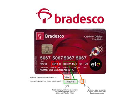 Cartão Bradesco Agência e Conta: Encontre de Maneira Simples!