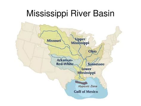 PPT - Mississippi River Basin PowerPoint Presentation, free download ...