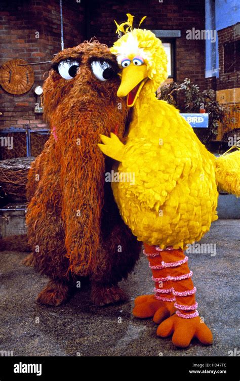 SESAME STREET, Big Bird & Mr. Snuffleupagus, "Snuffy's" debut, 17th ...