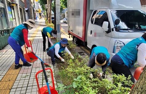 만수5동 가로수지킴이 만경로 철쭉 꽃길 도로변 제초 실시