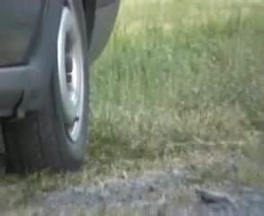 Buffalo Porn Videos Gay XXX 2024 XHamster