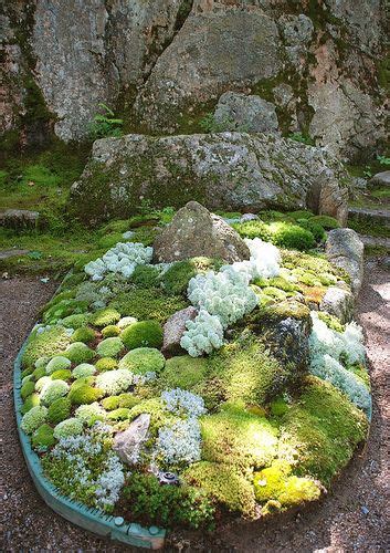 How To Grow Moss On Pots And Rocks Artofit