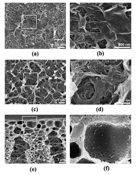 Sem Surface Image Of A B Pure Psf Supported Fo And C D Optimum