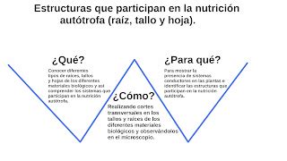 Actividades de Biología III Grupo 528 Nutrición Autótrofa V de Gowin y