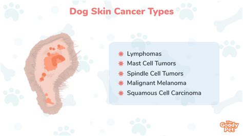 Dog Skin Cancer Chart