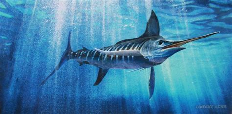 Blue Marlin Original Painting By Lawrence Dyer Wildlife Marine Etsy