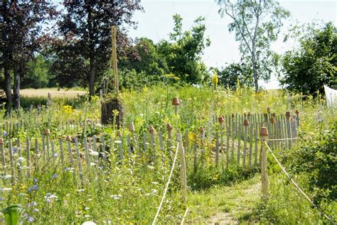 Naturgarten Nach Dem Prinzip Des Zonen Gartens