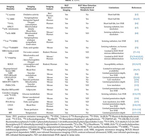 Table 1 From Molecular Imaging Of Brown Adipose Tissue Mass Semantic